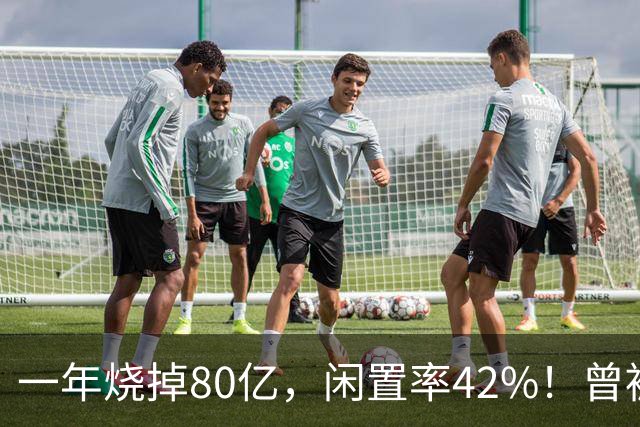 一年烧掉80亿，闲置率42%！曾被捧成香饽饽的生意，怎么不香了？