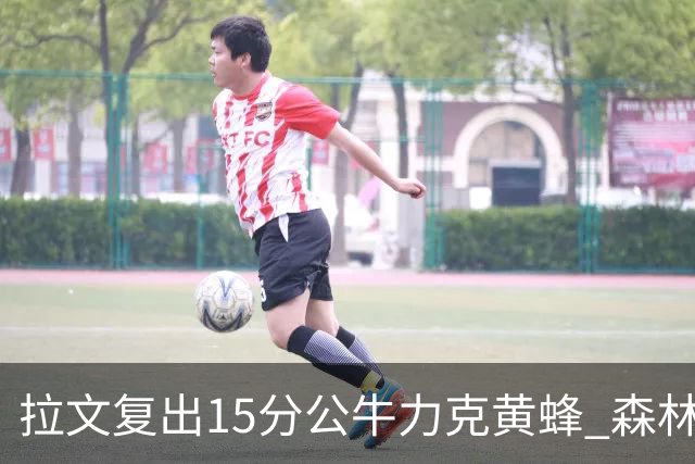拉文复出15分公牛力克黄蜂 森林狼大胜火箭