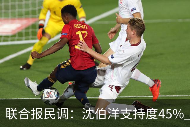联合报民调：沈伯洋支持度45% 略胜蒋万安41%