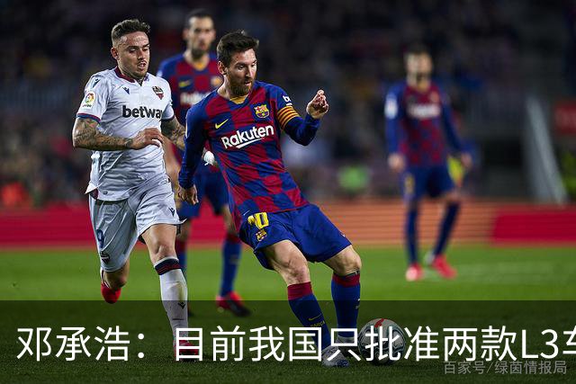 邓承浩：目前我国只批准两款L3车型 很多产品在打擦边球